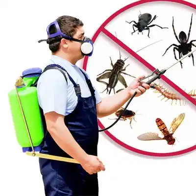 pest control Fort Jennings